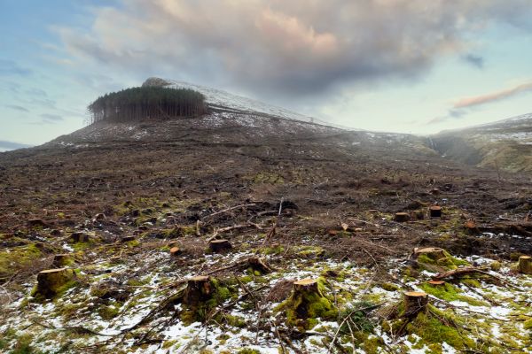 Hill Removal in Canton